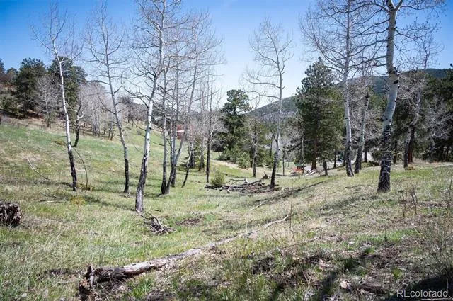 TBD Pine Valley Road Evergreen, CO 80439