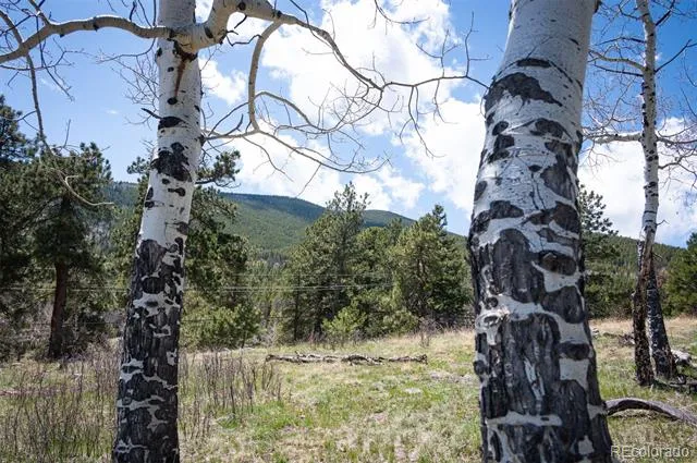 TBD Pine Valley Road Evergreen, CO 80439