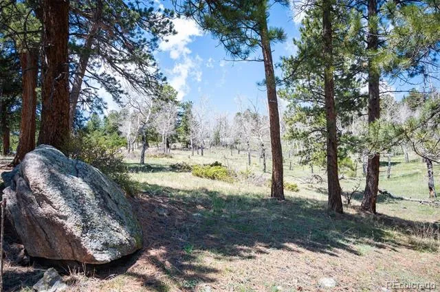 TBD Pine Valley Road Evergreen, CO 80439