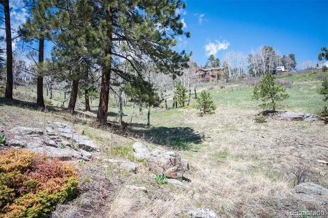TBD Pine Valley Road Evergreen, CO 80439