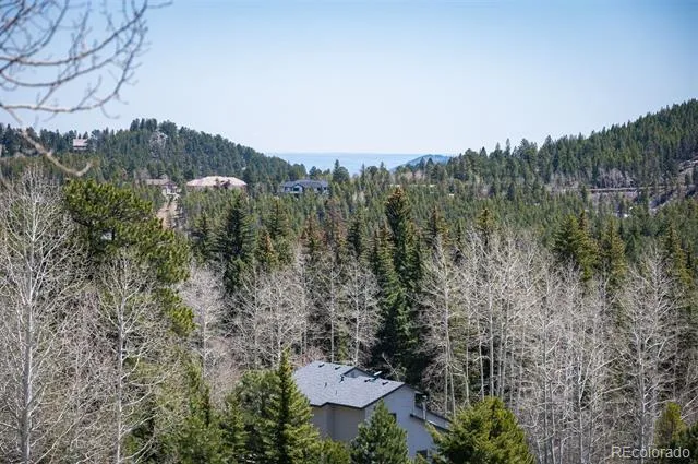 TBD Pine Valley Road Evergreen, CO 80439