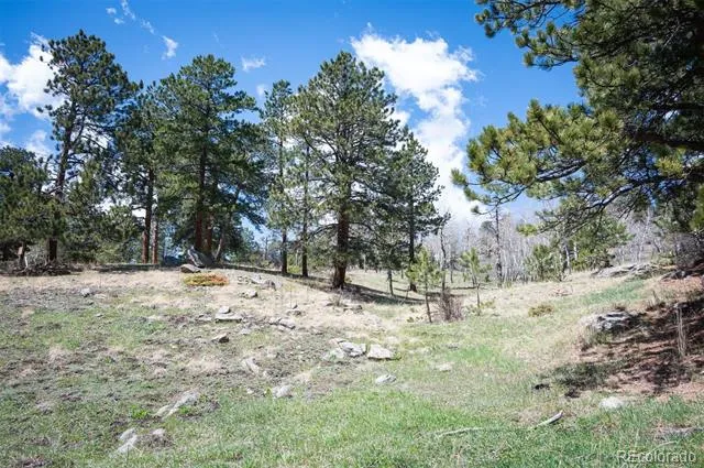 TBD Pine Valley Road Evergreen, CO 80439