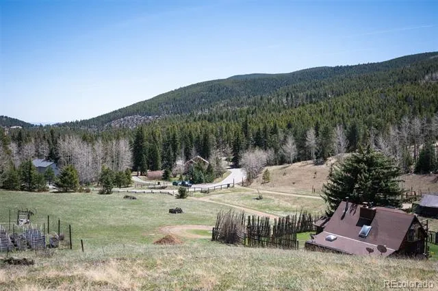 TBD Pine Valley Road Evergreen, CO 80439
