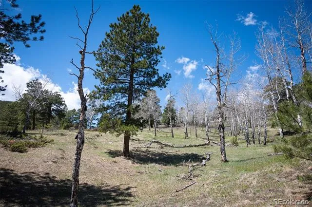 TBD Pine Valley Road Evergreen, CO 80439