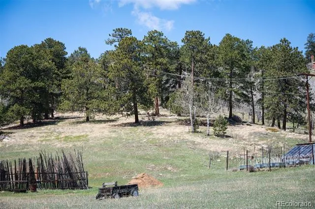 TBD Pine Valley Road Evergreen, CO 80439