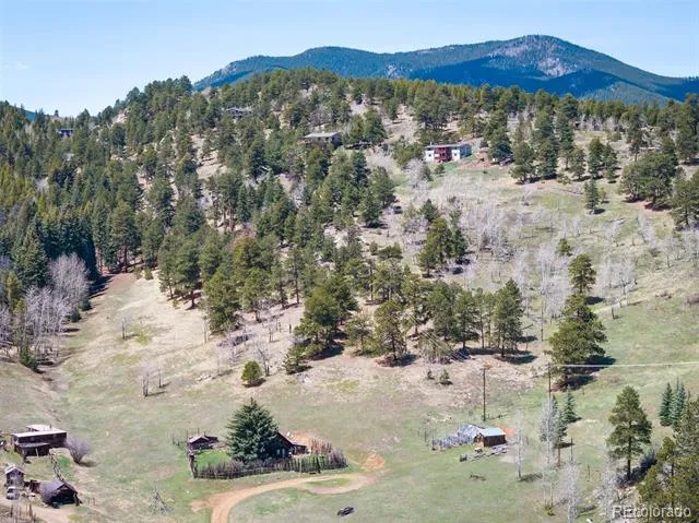 TBD Pine Valley Road Evergreen, CO 80439
