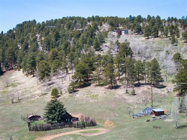 TBD Pine Valley Road Evergreen, CO 80439