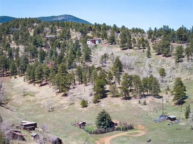 TBD Pine Valley Road Evergreen, CO 80439