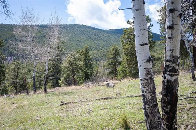 TBD Pine Valley Road Evergreen, CO 80439