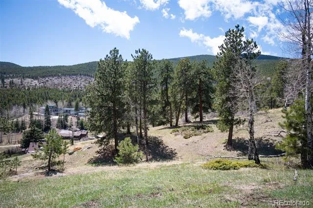 TBD Pine Valley Road Evergreen, CO 80439