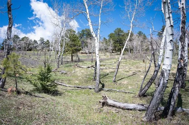 TBD Pine Valley Road Evergreen, CO 80439