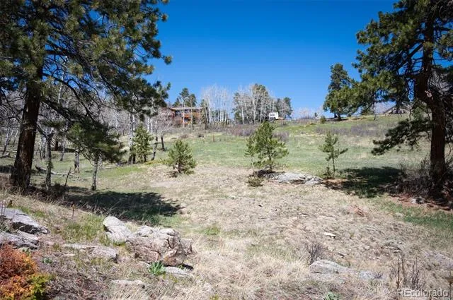 TBD Pine Valley Road Evergreen, CO 80439