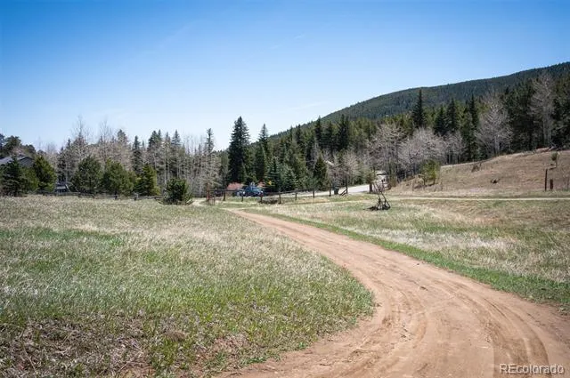 TBD Pine Valley Road Evergreen, CO 80439