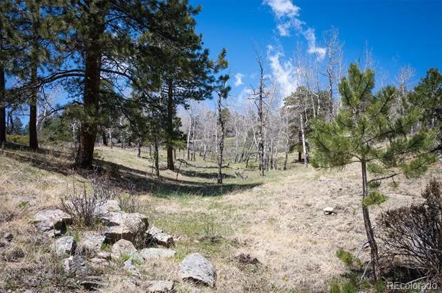 TBD Pine Valley Road Evergreen, CO 80439