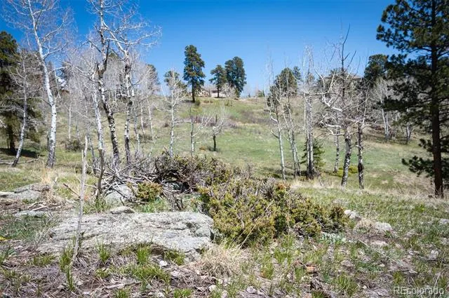 TBD Pine Valley Road Evergreen, CO 80439