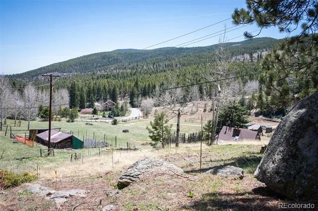 TBD Pine Valley Road Evergreen, CO 80439