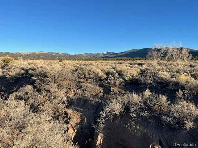 Lot 1018 Leonard Road Fort Garland, CO 81133