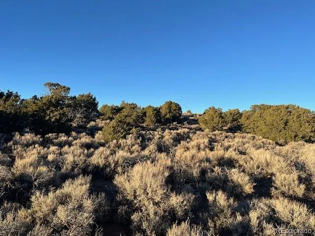 Lot 1018 Leonard Road Fort Garland, CO 81133