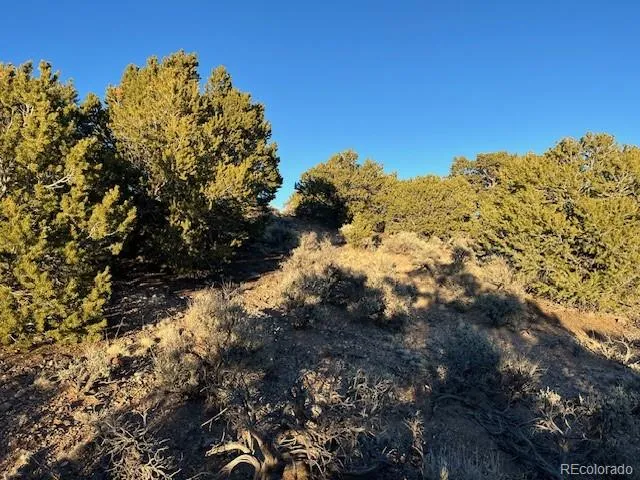 Lot 1018 Leonard Road Fort Garland, CO 81133