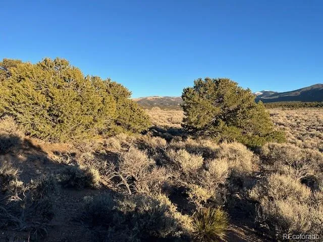 Lot 1018 Leonard Road Fort Garland, CO 81133