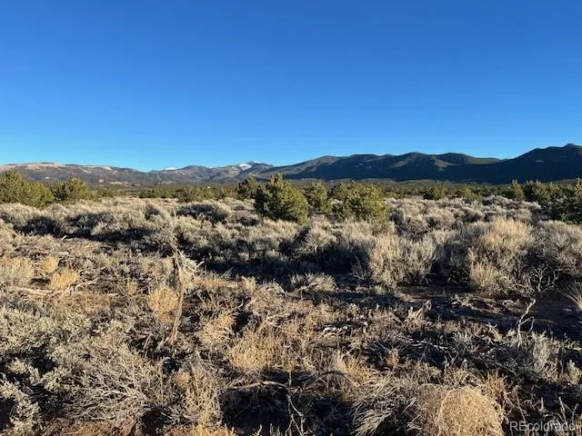 Lot 1018 Leonard Road Fort Garland, CO 81133