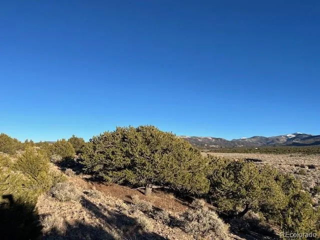 Lot 1018 Leonard Road Fort Garland, CO 81133