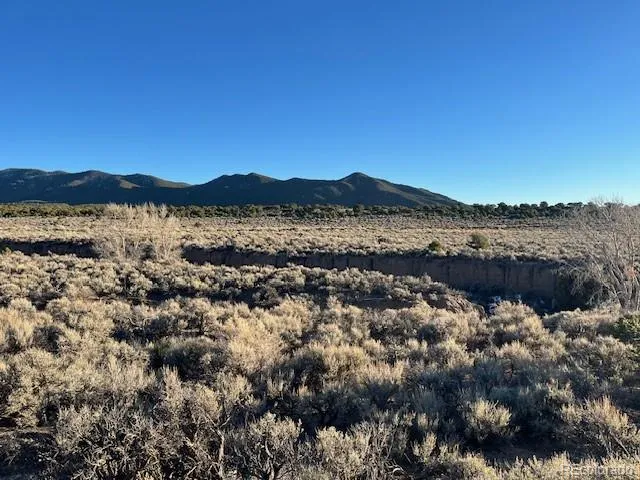 Lot 1018 Leonard Road Fort Garland, CO 81133