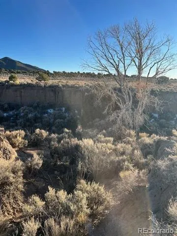 Lot 1018 Leonard Road Fort Garland, CO 81133