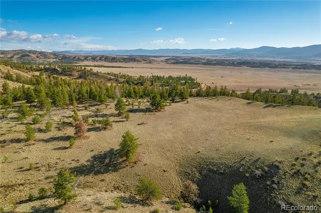 Willow Street Hartsel, CO 80449