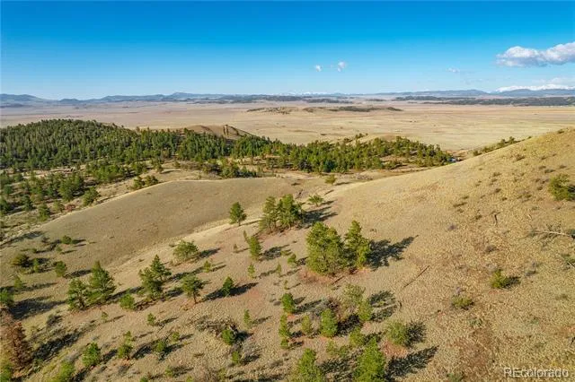 Willow Street Hartsel, CO 80449