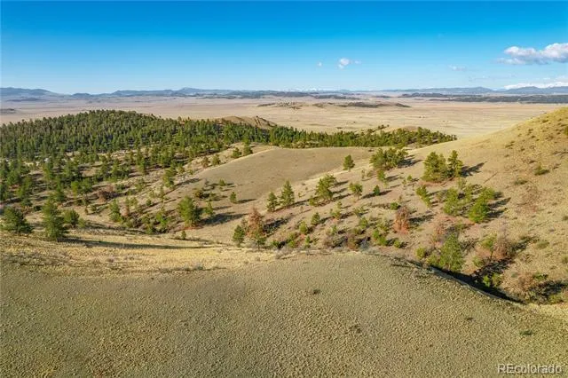 Willow Street Hartsel, CO 80449