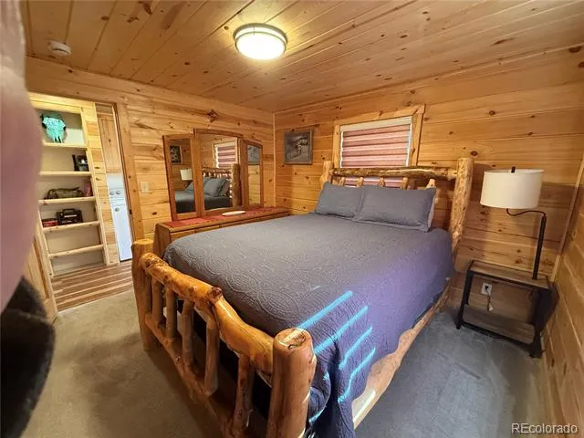1025 Walker Place Fort Garland, CO 81133