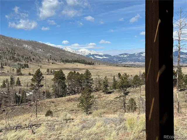 1025 Walker Place Fort Garland, CO 81133