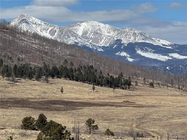 1025 Walker Place Fort Garland, CO 81133