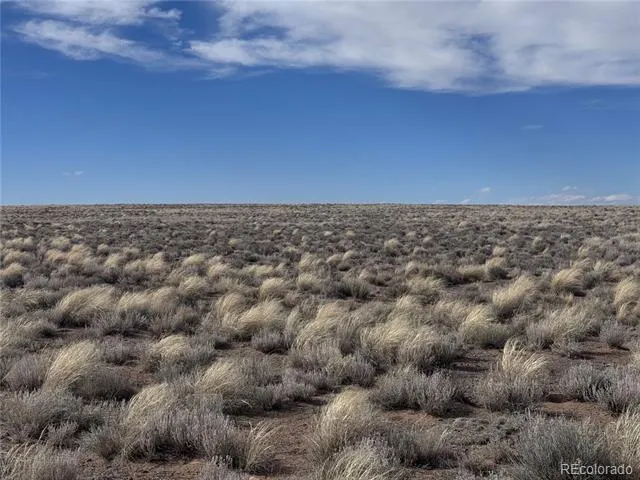 Lot 3 21st Street Blanca, CO 81123