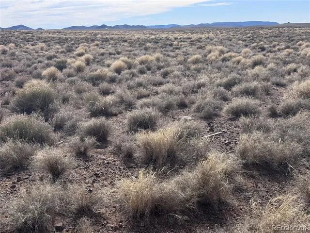 Lot 3 21st Street Blanca, CO 81123