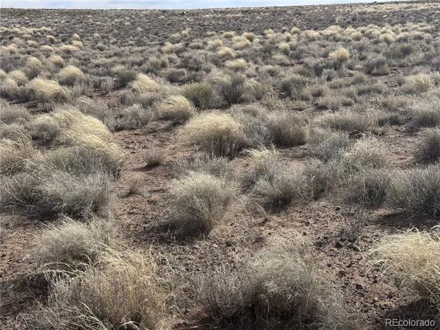 Lot 3 21st Street Blanca, CO 81123