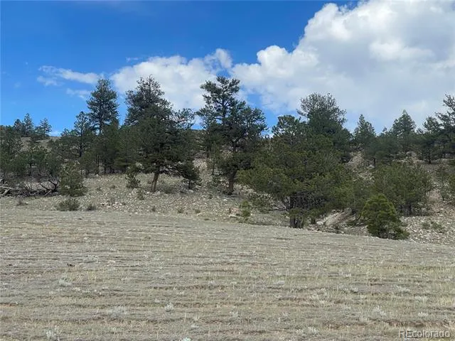 Address Not Shown Hartsel, CO 80449