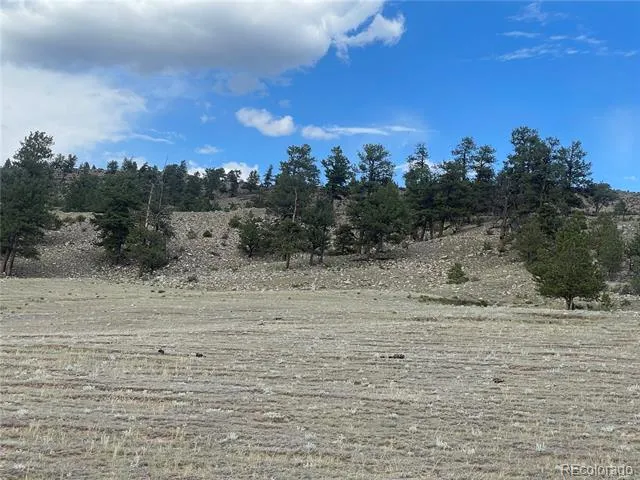Address Not Shown Hartsel, CO 80449