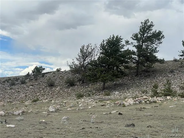 Address Not Shown Hartsel, CO 80449