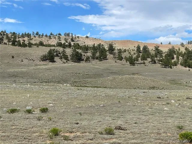 Address Not Shown Hartsel, CO 80449
