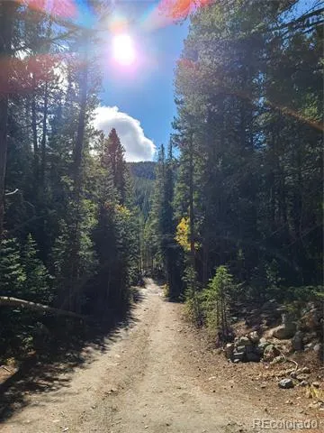 004 Rainbow Road Idaho Springs, CO 80452