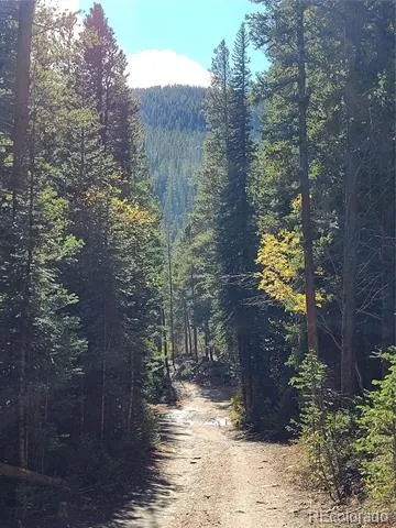 004 Rainbow Road Idaho Springs, CO 80452