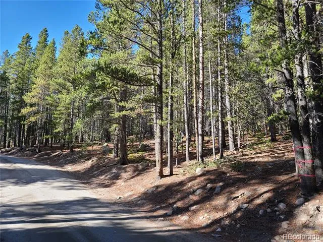004 Rainbow Road Idaho Springs, CO 80452