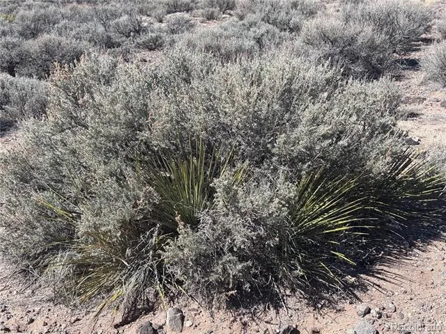 Lot 1 Fifth Street Blanca, CO 81123