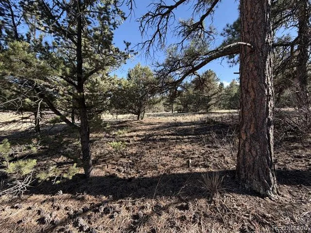 000 Canyon Road Cotopaxi, CO 81223