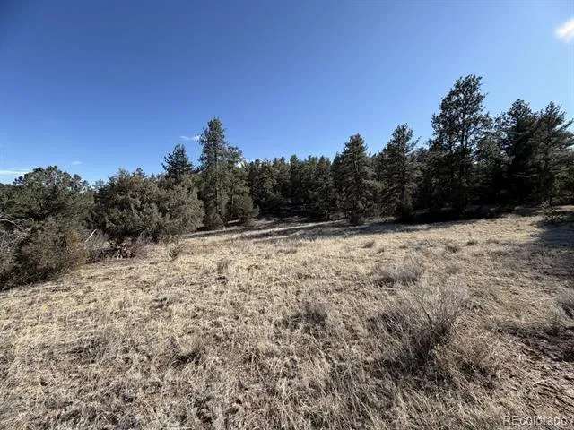 000 Canyon Road Cotopaxi, CO 81223