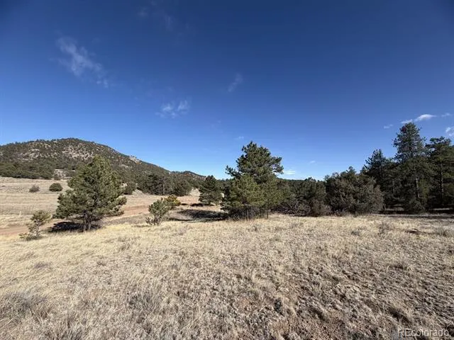 000 Canyon Road Cotopaxi, CO 81223