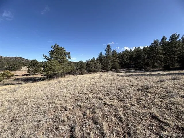000 Canyon Road Cotopaxi, CO 81223