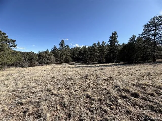 000 Canyon Road Cotopaxi, CO 81223